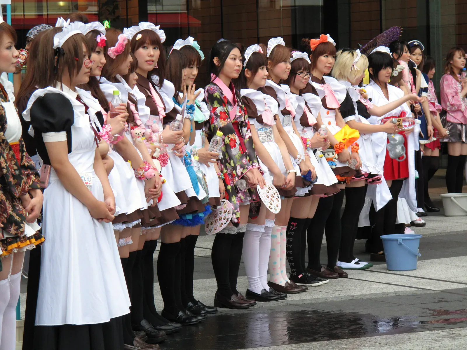 Line of maids in black and white uniforms standing on an Akihabara street