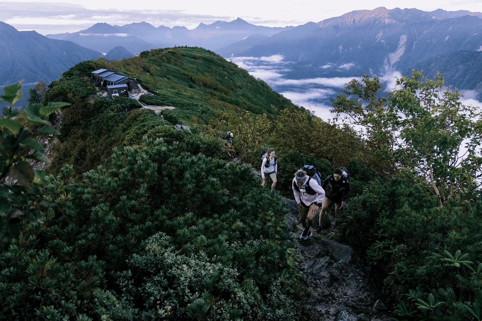 Hikers climbing a green ridge path above a sea of cloud in the Japan Alps