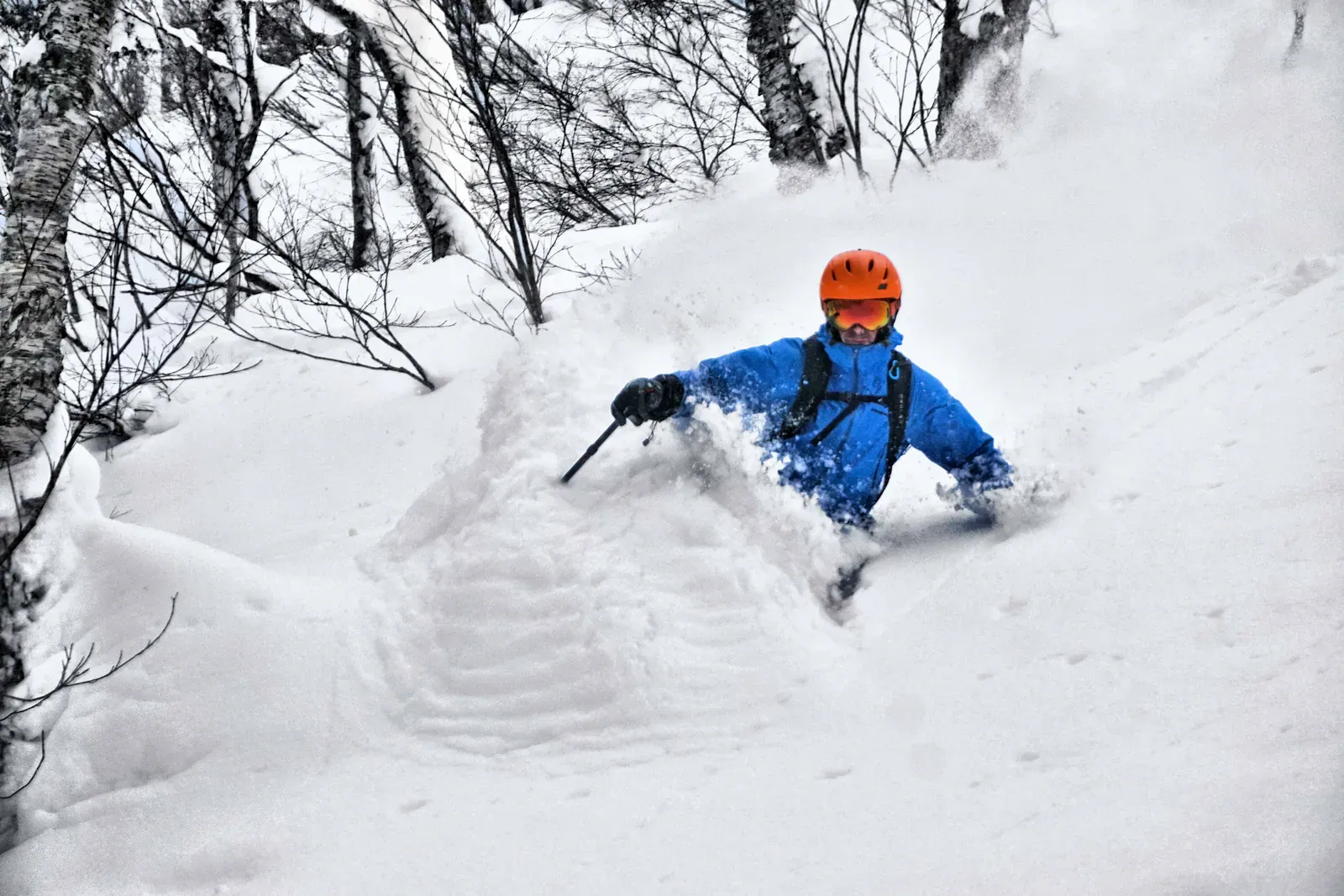 Backcountry powder skiing in Japan