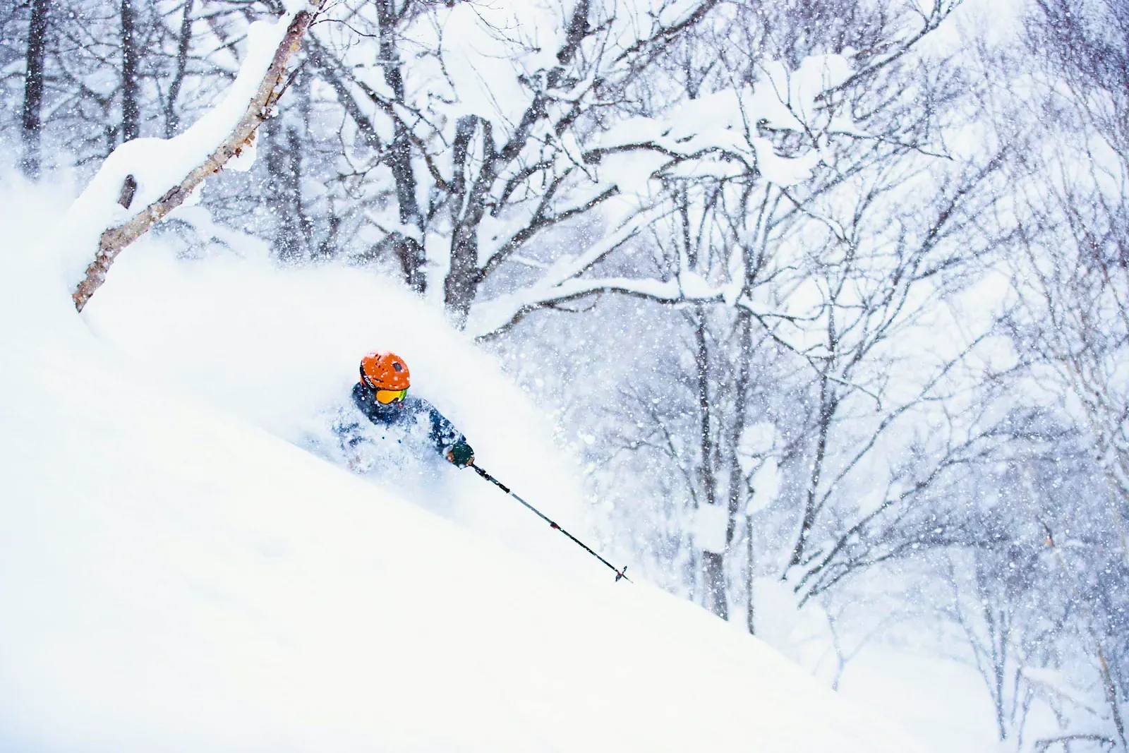 Skier carving through deep powder between snow-laden birch trees