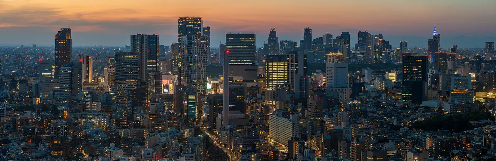 Tokyo skyscrapers at dusk